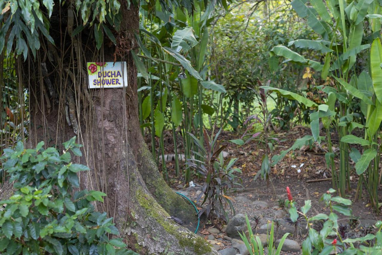 Puerto Viejo de Talamanca Casa Ylang In Black Sand Beachヴィラ エクステリア 写真