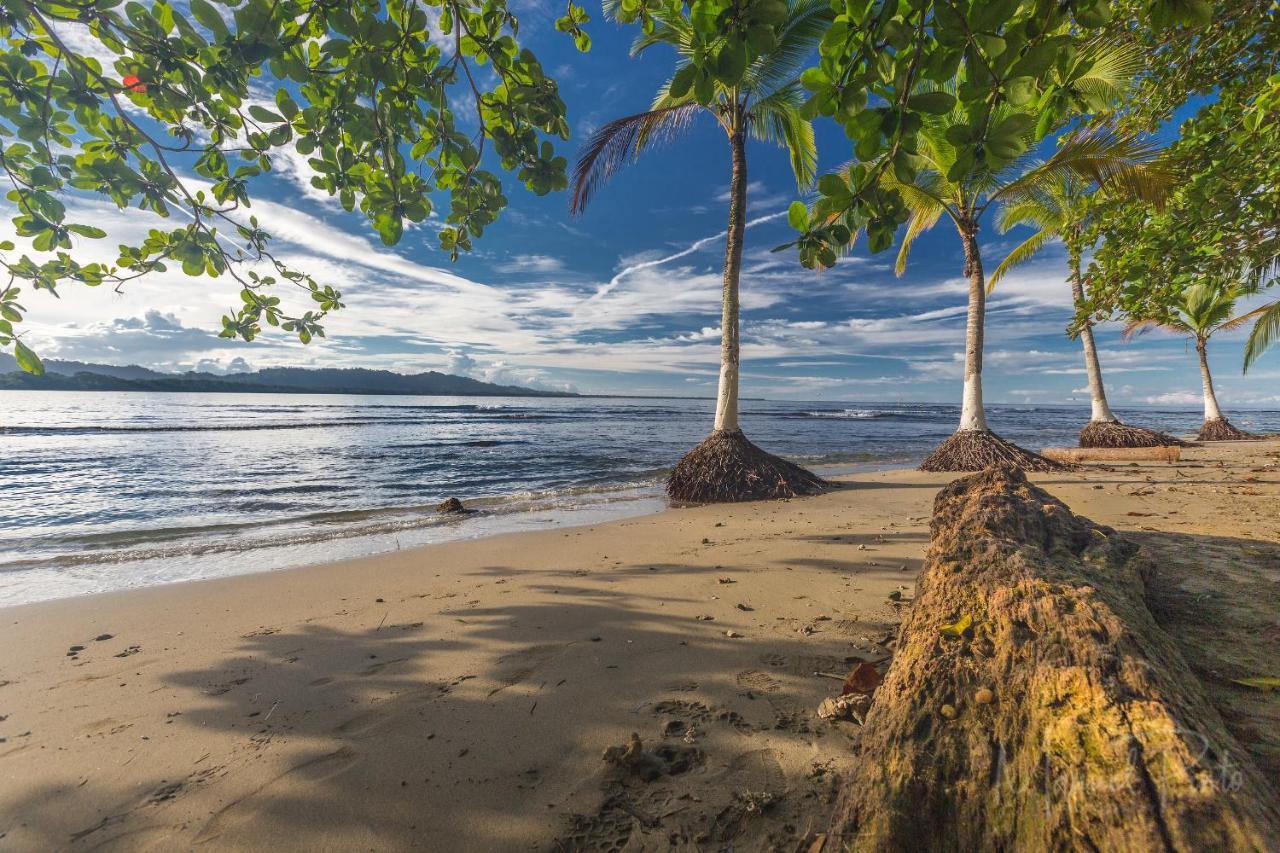 Puerto Viejo de Talamanca Casa Ylang In Black Sand Beachヴィラ エクステリア 写真